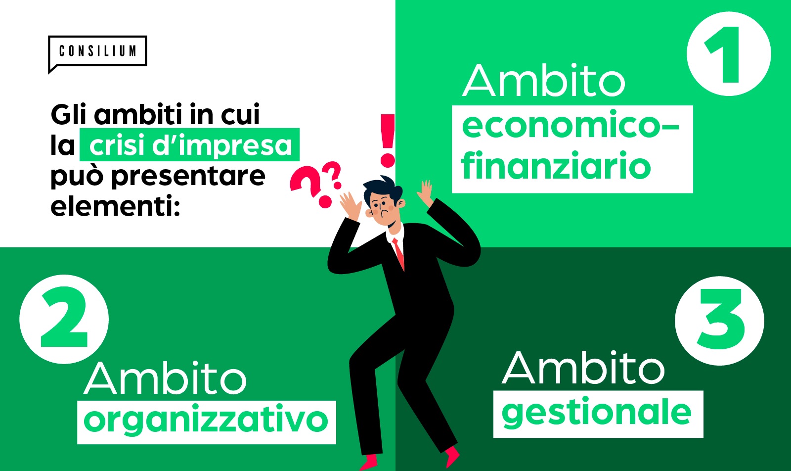 Controllo di gestione e finanza aziendale per la consulenza d'impresa.  Manuale operativo per le PMI.